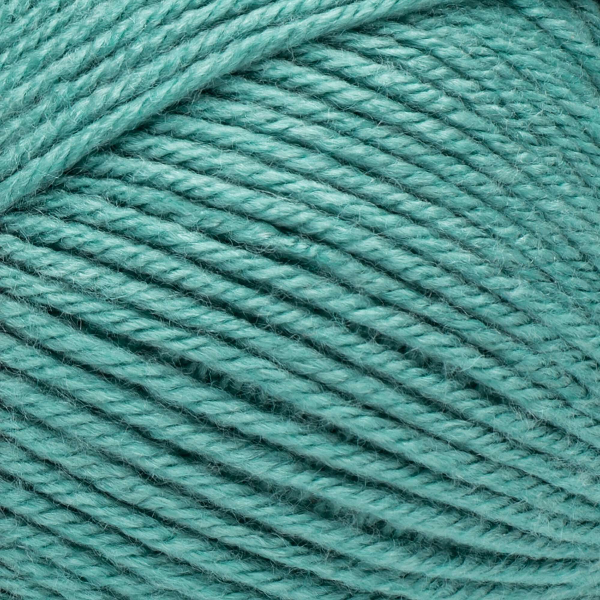 Bernat Fabwoolous Yarn