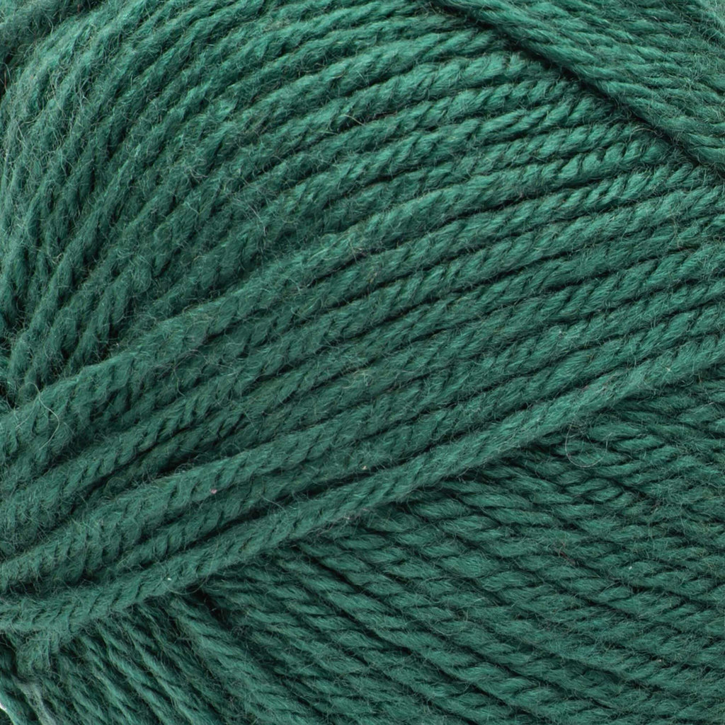 Bernat Fabwoolous Yarn