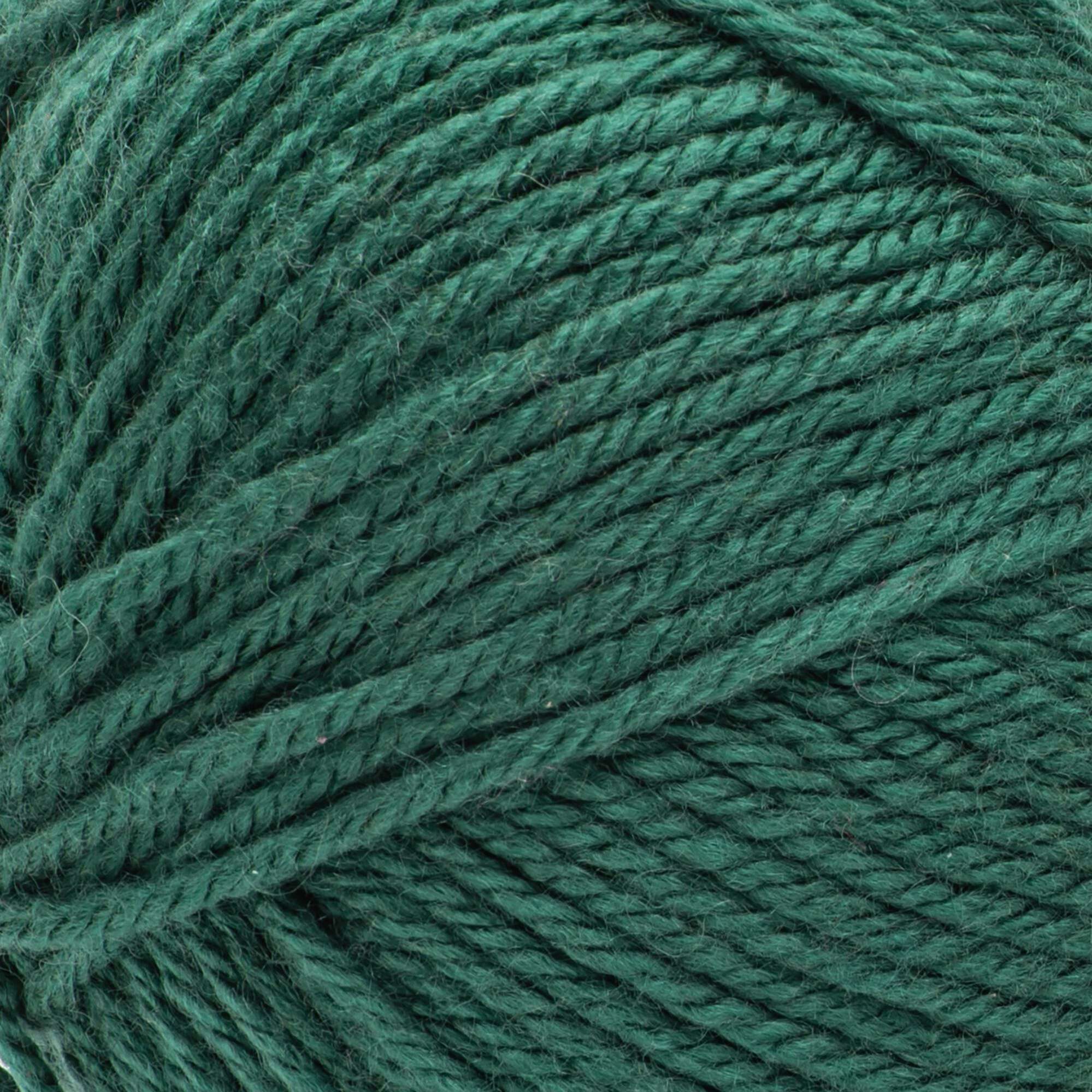 Bernat Fabwoolous Yarn